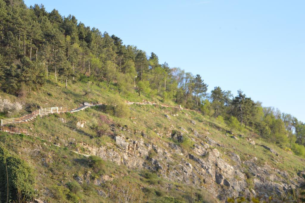 Vila Sara Ohrid Exterior photo